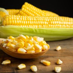 Receita de Curau de Milho Verde Delicioso