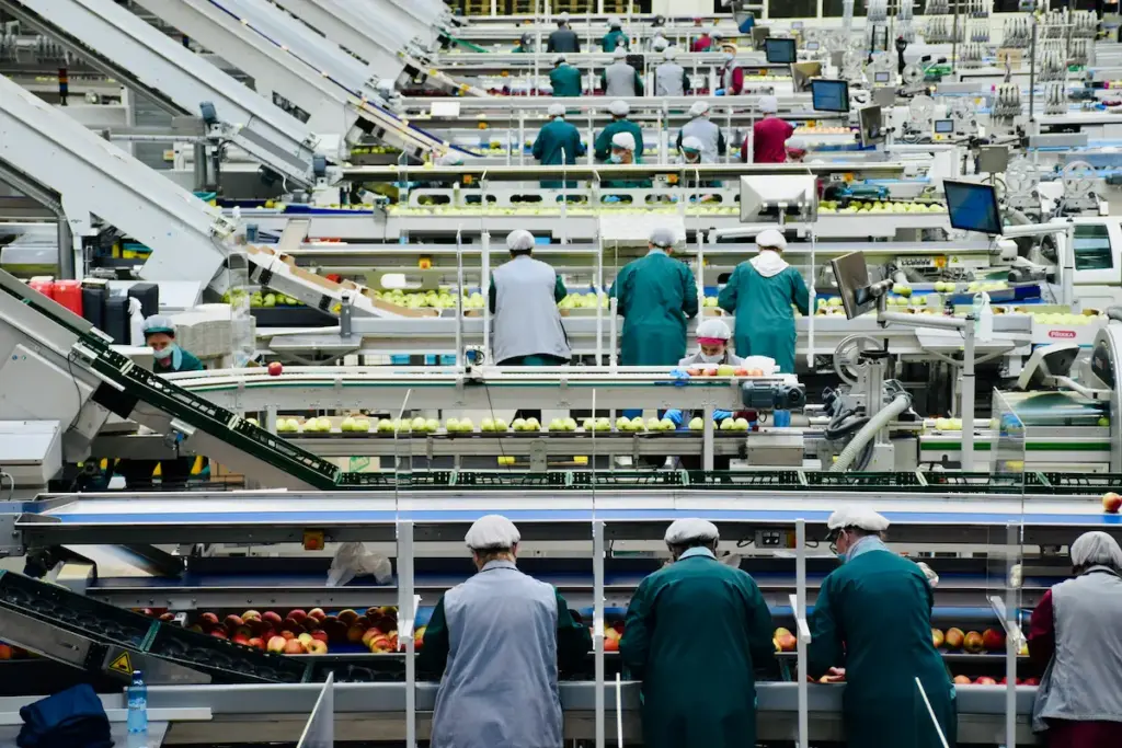 Da receita à fábrica: processos da indústria alimentícia