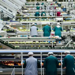 Da receita à fábrica: quais processos transformamingredientes em alimentos industrializados